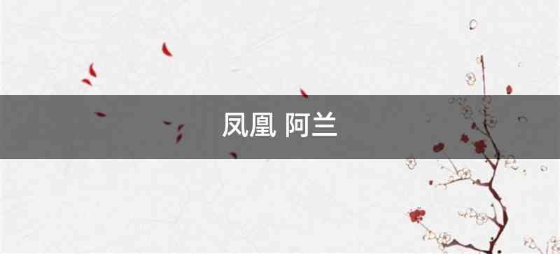 凤凰 阿兰