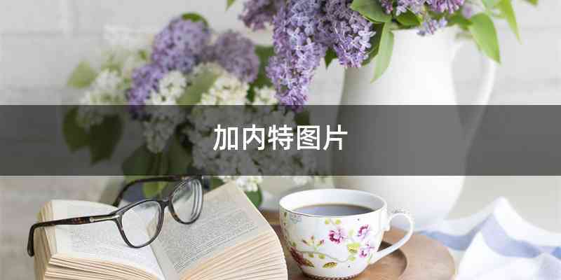加内特图片
