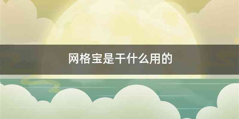 网格宝是干什么用的