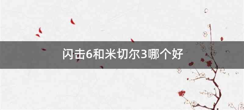 闪击6和米切尔3哪个好