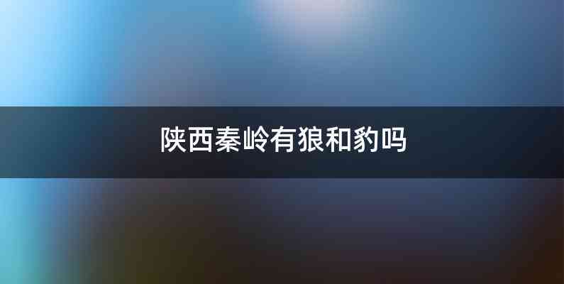 陕西秦岭有狼和豹吗