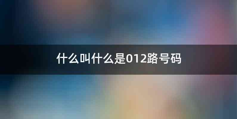 什么叫什么是012路号码