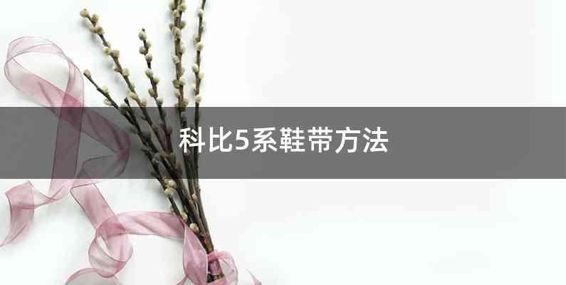 科比5系鞋带方法
