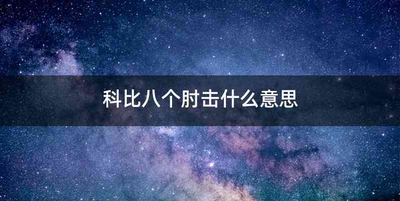 科比八个肘击什么意思