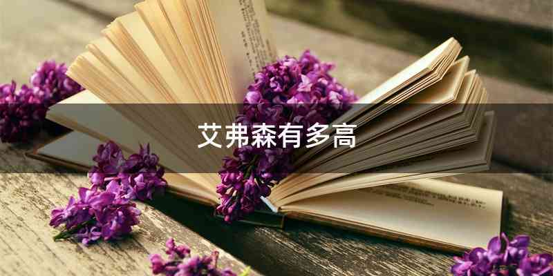 艾弗森有多高