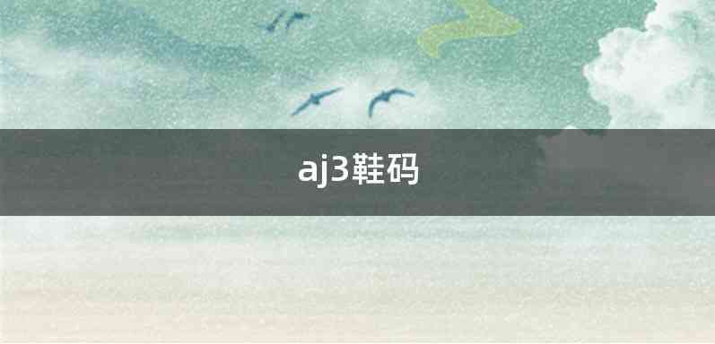 aj3鞋码