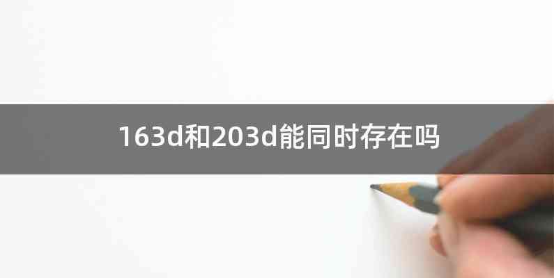 163d和203d能同时存在吗