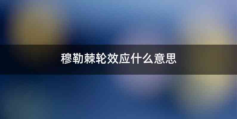 穆勒棘轮效应什么意思