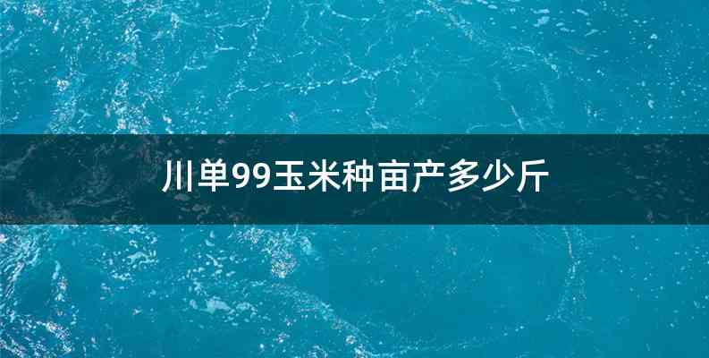 川单99玉米种亩产多少斤
