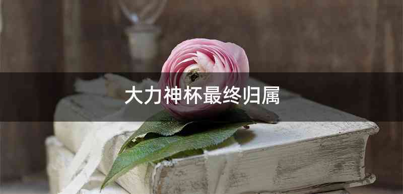 大力神杯最终归属
