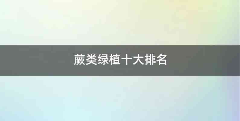 蕨类绿植十大排名