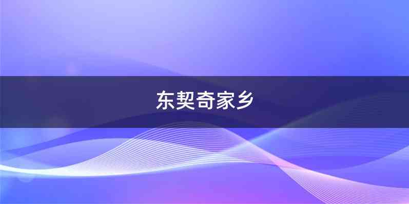 东契奇家乡