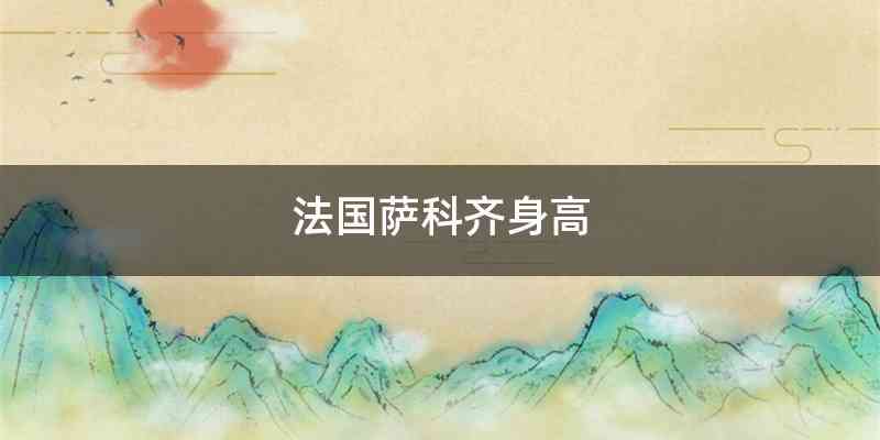 法国萨科齐身高