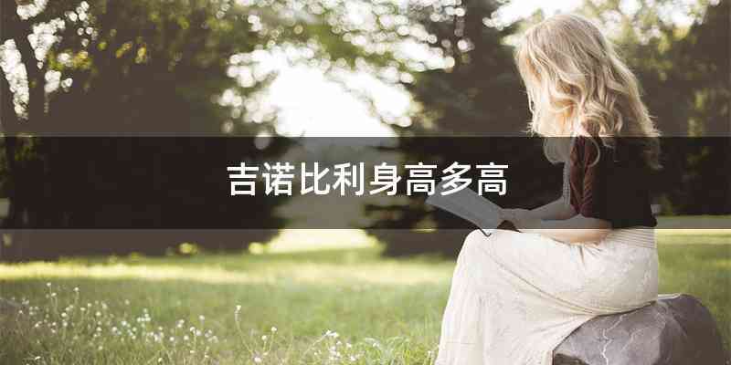 吉诺比利身高多高