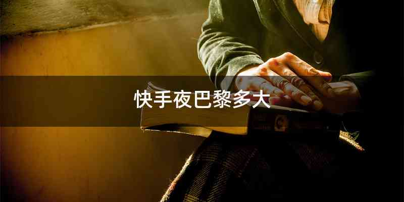 快手夜巴黎多大