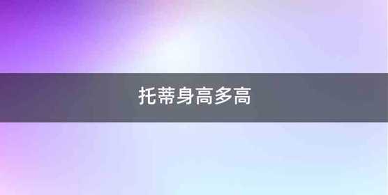 托蒂身高多高