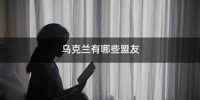 乌克兰有哪些盟友