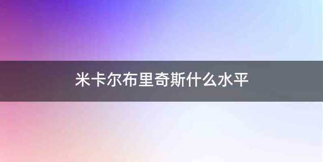 米卡尔布里奇斯什么水平