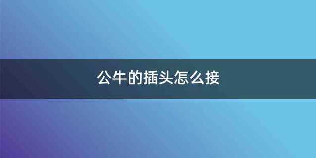 公牛的插头怎么接