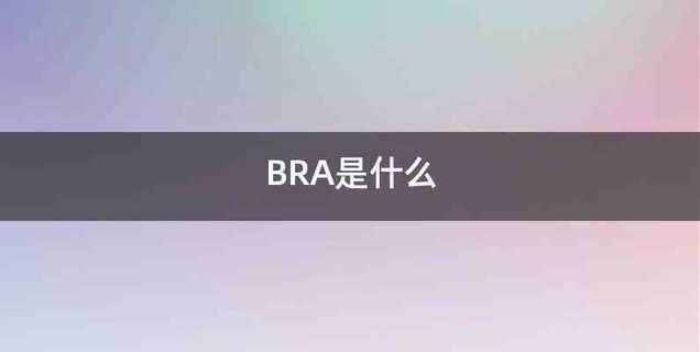 BRA是什么