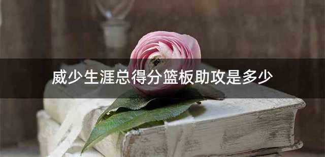 威少生涯总得分篮板助攻是多少