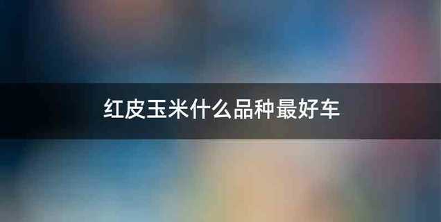 红皮玉米什么品种最好车