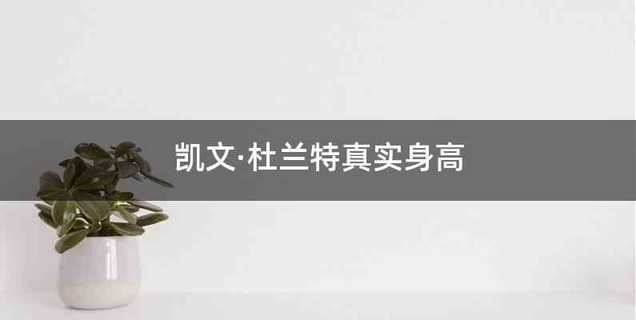 凯文·杜兰特真实身高