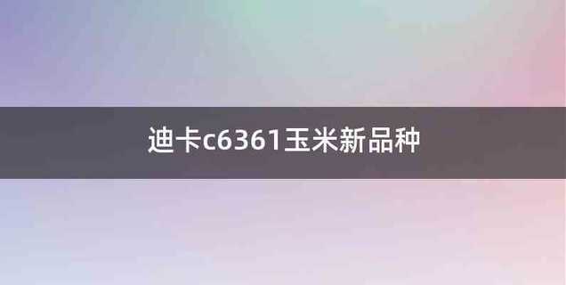 迪卡c6361玉米新品种