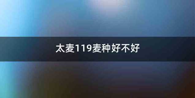 太麦119麦种好不好