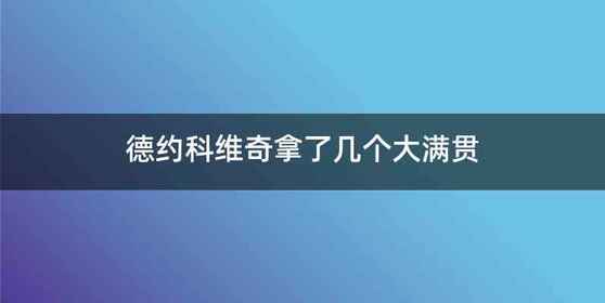 德约科维奇拿了几个大满贯
