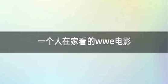 一个人在家看的wwe电影