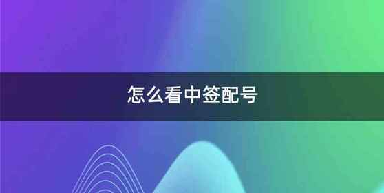 怎么看中签配号