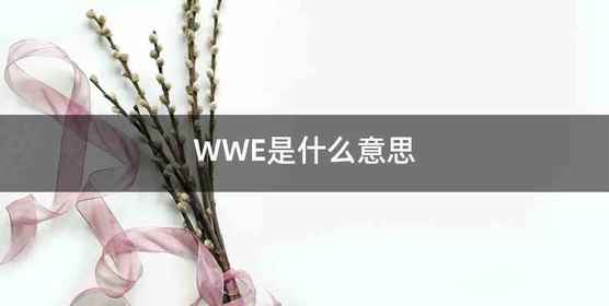WWE是什么意思