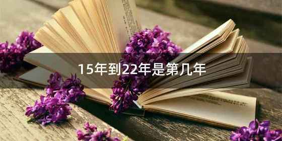 15年到22年是第几年