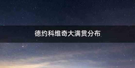 德约科维奇大满贯分布