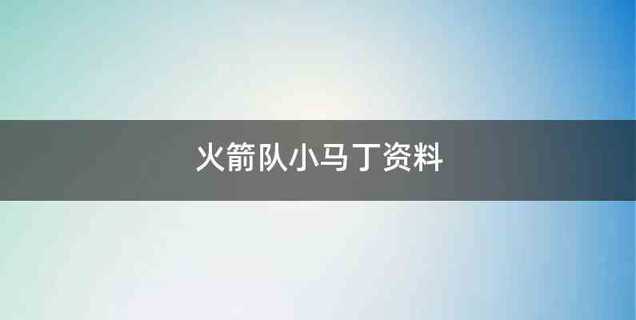 火箭队小马丁资料