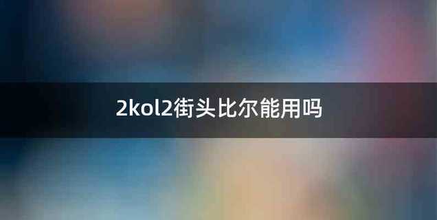 2kol2街头比尔能用吗