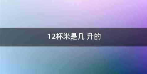 12杯米是几 升的