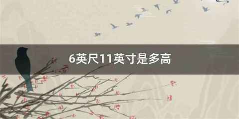 6英尺11英寸是多高