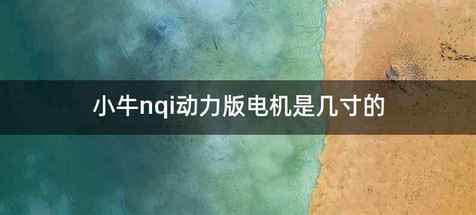 小牛nqi动力版电机是几寸的