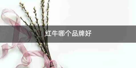 红牛哪个品牌好
