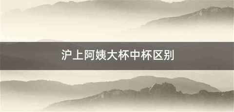 沪上阿姨大杯中杯区别