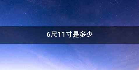 6尺11寸是多少