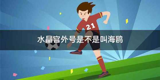 水晶宫外号是不是叫海鸥