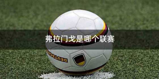 弗拉门戈是哪个联赛