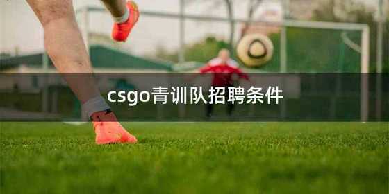 csgo青训队招聘条件