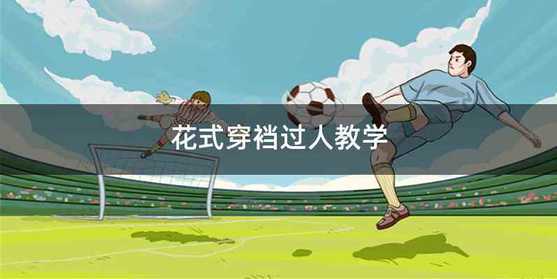 花式穿裆过人教学