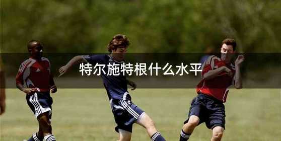 特尔施特根什么水平