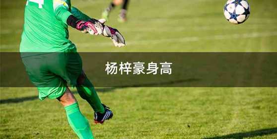 杨梓豪身高