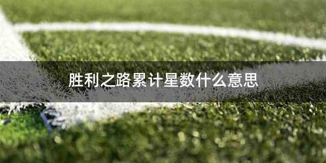 胜利之路累计星数什么意思